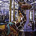 Giraffe Carousel Ride by Garry Gay Giraffe Carousel Ride by Garry Gay