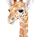 Giraffe Watercolor Painting by Olga Shvartsur Giraffe Watercolor Painting by Olga Shvartsur