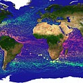 Global Ocean Currents Photograph by Science Photo Library