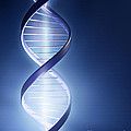 DNA Technology Photograph by Johan Swanepoel DNA Technology Photograph by Johan Swanepoel