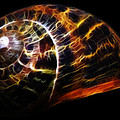 Glowing Shell by Shane Bechler Glowing Shell by Shane Bechler