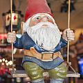 Gnome On A Swing 2 by Scott Campbell Gnome On A Swing 2 by Scott Campbell