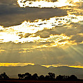 Golden Beams Of Sunlight Shining Down Photograph by James BO Insogna Golden Beams Of Sunlight Shining Down Photograph by James BO Insogna