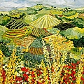 Golden Hedge by Allan P Friedlander Golden Hedge by Allan P Friedlander