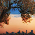Good Morning Denver Photograph by Darren White Good Morning Denver Photograph by Darren White