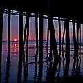 Good Morning Old Orchard Silhouette by Betsy Knapp Good Morning Old Orchard Silhouette by Betsy Knapp