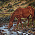 Good'Ol Red Painting by Ricardo Chavez-Mendez Good'Ol Red Painting by Ricardo Chavez-Mendez
