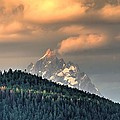 Grand Morning Photograph by David Andersen Grand Morning Photograph by David Andersen