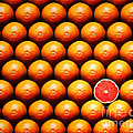 Grapefruit slice between group Photograph by Johan Swanepoel Grapefruit slice between group Photograph by Johan Swanepoel