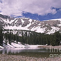 Great Basin National Park Photograph by Mark Newman Great Basin National Park Photograph by Mark Newman