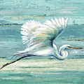 Great Egret I by Patricia Pinto Great Egret I by Patricia Pinto
