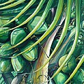 Green Coconuts 2 by Karin Dawn Kelshall- Best Green Coconuts 2 by Karin Dawn Kelshall- Best