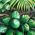 Green Coconuts 3 Sold by Karin Dawn Kelshall- Best Green Coconuts 3 Sold by Karin Dawn Kelshall- Best