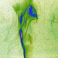 green smoke trail II by Paulina Roybal green smoke trail II by Paulina Roybal