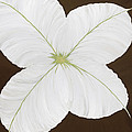 Green Spice Painting by Tamara Nelson Green Spice Painting by Tamara Nelson