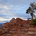 Greet the Dawn Photograph by Jim Garrison Greet the Dawn Photograph by Jim Garrison