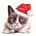 Grumpy Cat as Santa Painting by Olga Shvartsur Grumpy Cat as Santa Painting by Olga Shvartsur