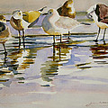 Gull Family by Julianne Felton Gull Family by Julianne Felton