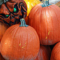 Halloween Goblin Photograph by Aimee L Maher ALM GALLERY Halloween Goblin Photograph by Aimee L Maher ALM GALLERY