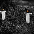 Halloween is coming Photograph by Nigel R Bell Halloween is coming Photograph by Nigel R Bell