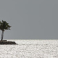Hammock Beckoning Photograph by Ed Gleichman Hammock Beckoning Photograph by Ed Gleichman