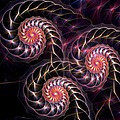 Happy Lights by Anastasiya Malakhova Happy Lights by Anastasiya Malakhova