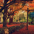 Hartwell tavern under orange fall foliage Photograph by Jeff Folger Hartwell tavern under orange fall foliage Photograph by Jeff Folger