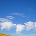 Harvested Wheat Fields Palouse Hills Photograph by Yva Momatiuk John Eastcott Harvested Wheat Fields Palouse Hills Photograph by Yva Momatiuk John Eastcott