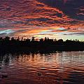 Harveston Sunset by Christine Owens