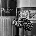 Hats Are Back In Fashion. by Paul Ward Hats Are Back In Fashion. by Paul Ward