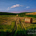 Hay Rolls on the Field Painting by Christopher Shellhammer Hay Rolls on the Field Painting by Christopher Shellhammer