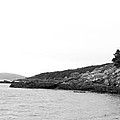 Hazy Day Shoreline by Barbara Griffin Hazy Day Shoreline by Barbara Griffin
