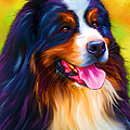 Colorful Bernese Mountain Dog Painting by Michelle Wrighton