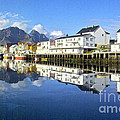 Henningsvaer Harbour by Heiko Koehrer-Wagner Henningsvaer Harbour by Heiko Koehrer-Wagner