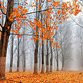 Heralds Of Autumn Photograph by Evgeni Dinev Heralds Of Autumn Photograph by Evgeni Dinev