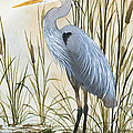 Heron and Cattails Painting by James Williamson Heron and Cattails Painting by James Williamson