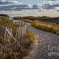 Herring Cove Walk by Susan Cole Kelly