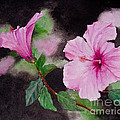 Hibiscus - So Pretty in Pink Painting by Sher Nasser Hibiscus - So Pretty in Pink Painting by Sher Nasser