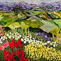 High Mountain Patch by Allan P Friedlander High Mountain Patch by Allan P Friedlander