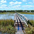 High Tide At Pawleys Island Photograph by Kathy Baccari High Tide At Pawleys Island Photograph by Kathy Baccari