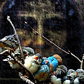 His Eye Is On The Sparrow Digital Art by Seth Weaver His Eye Is On The Sparrow Digital Art by Seth Weaver