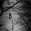 Hockey Silhouette Photograph by Andrew Fare Hockey Silhouette Photograph by Andrew Fare