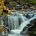 Homestead Falls by Scott Gould