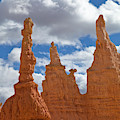 Hoodoos Bryce Canyon Natl Park Utah Photograph by Yva Momatiuk and John Eastcott Hoodoos Bryce Canyon Natl Park Utah Photograph by Yva Momatiuk and John Eastcott