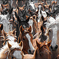 Horse Faces Photograph by Kae Cheatham Horse Faces Photograph by Kae Cheatham