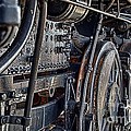 Horse Shoes by Ken Williams
