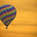 Hot Air Balloon Golden Flight Photograph by James BO Insogna Hot Air Balloon Golden Flight Photograph by James BO Insogna