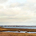 House on Joppa Flats Photograph by Karen Lynch