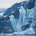 Hubbard Glacier, Calving Photograph by Mark Newman Hubbard Glacier, Calving Photograph by Mark Newman