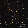 Hubble Ultra Deep Field Galaxies Photograph by Science Source Hubble Ultra Deep Field Galaxies Photograph by Science Source